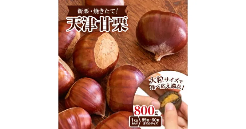 【ふるさと納税】【800g】新栗ビックサイズ!!焼きたて!!天津甘栗　大粒サイズ　期間限定でお届けします。【1510513】