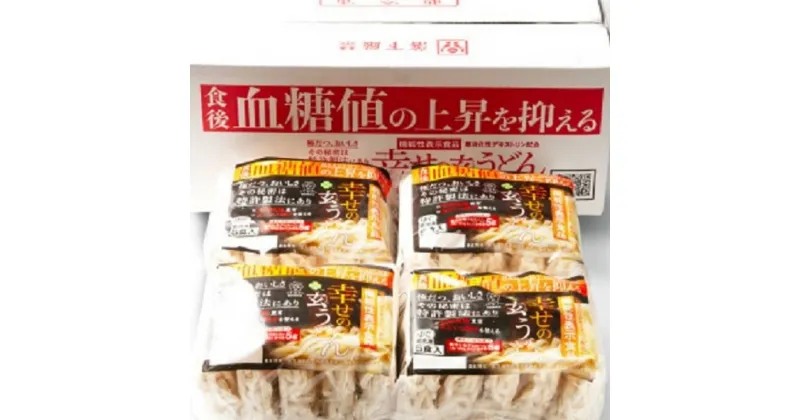 【ふるさと納税】機能性 玄うどん【5食入り×4P】