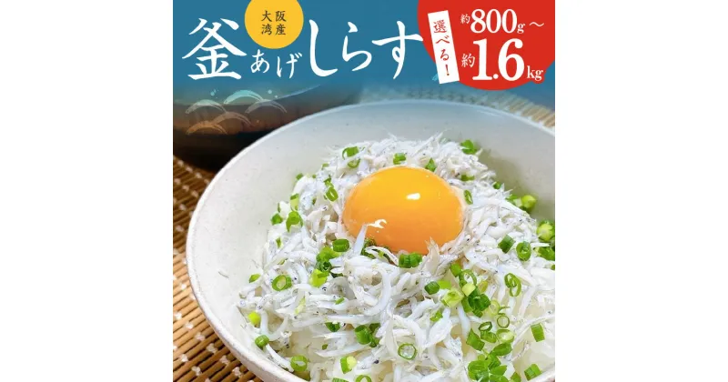 【ふるさと納税】＼訳あり／ 期間限定 しらす 約 800g / 1.6kg 釜揚げしらす 釜揚げ 大阪湾産 国産 家庭用 シラス丼 無添加 天然 カルシウム おつまみ 酒の肴 ごはんのお供 お取り寄せ お取り寄せグルメ 家飲み 冷凍 大阪府 泉佐野市 送料無料