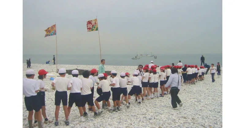 【ふるさと納税】海鮮バーベキュー＆地引網漁業体験（50名）