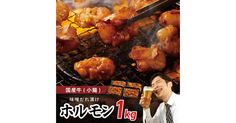 【ふるさと納税】国産 牛肉 ホルモン 1kg 味噌だれ漬け 焼肉用 小分け 250g × 4P バイキング左近 秘伝の味噌ダレ 総重量1キロ 冷凍 味付き肉 肉の泉佐野