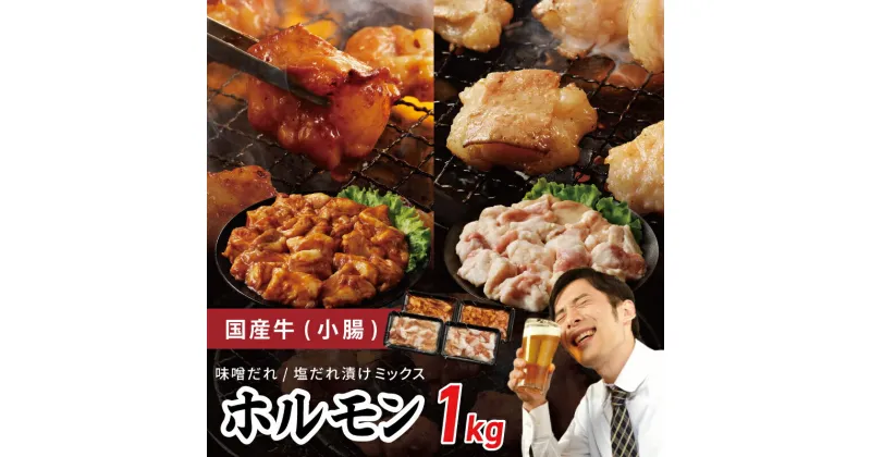 【ふるさと納税】国産 牛肉 ホルモン 1kg 味付けMIX 味噌 / 塩だれ 焼肉用 小分け 250g×4P 大阪府 泉佐野市 送料無料 肉の泉佐野