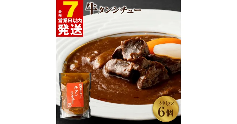 【ふるさと納税】＼最短7営業日以内発送／ 焼肉屋さんの牛タンシチュー（240g×6パック）