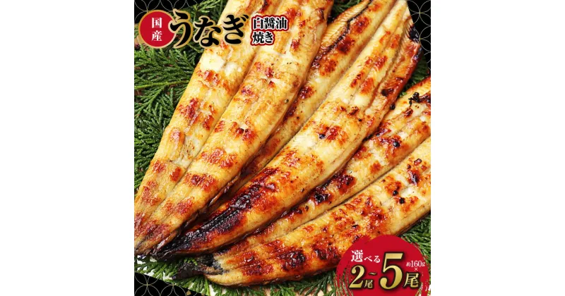 【ふるさと納税】国産！ うなぎ白醤油焼き せいろ蒸し備長炭仕上げ 定額減税 土用の丑の日 鰻 備長炭 せいろ蒸し 脂のり 秘伝の白醤油 パリパリ ふっくら 食感 うな重 ひつまぶし おかず 冷凍 大阪府 泉佐野市 送料無料