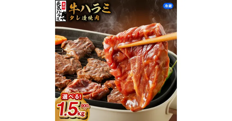 【ふるさと納税】発送時期が選べる 牛肉 ハラミ 牛ハラミ 小分け 焼き肉 バーベキュー BBQ 冷蔵便 チルド ノンフローズン ジューシー 味付け肉 タレ漬 焼くだけ 簡単 簡単調理 肉 関西 大阪 泉佐野市 お取り寄せ 食品 送料無料 肉の泉佐野