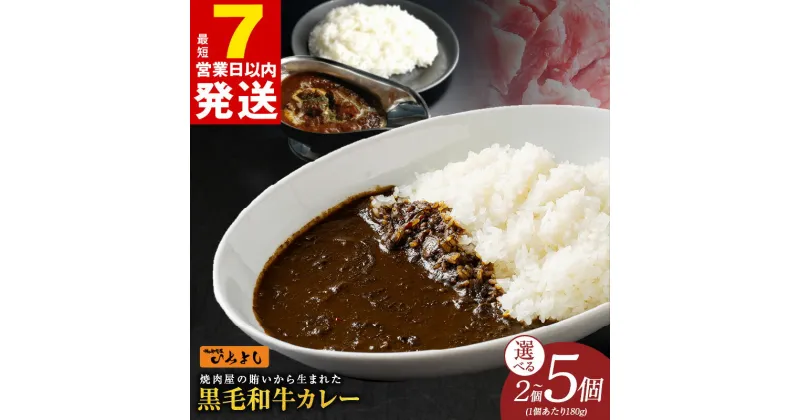 【ふるさと納税】＼最短7営業日以内発送／ ＼内容量が選べる／ 牛肉 国産 和牛 カレー 180g 2個 / 4個 / 5個 焼肉問屋いちよし 和牛カレー 温めるだけ 簡単 時短 レトルト レトルトカレー 常備用 防災グッズ 保存食 長期保存 惣菜 おかず ご飯 食品 送料無料 肉の泉佐野