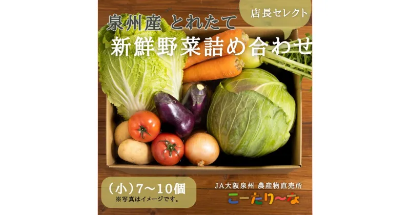 【ふるさと納税】直売所店長セレクト季節の野菜セット（小）