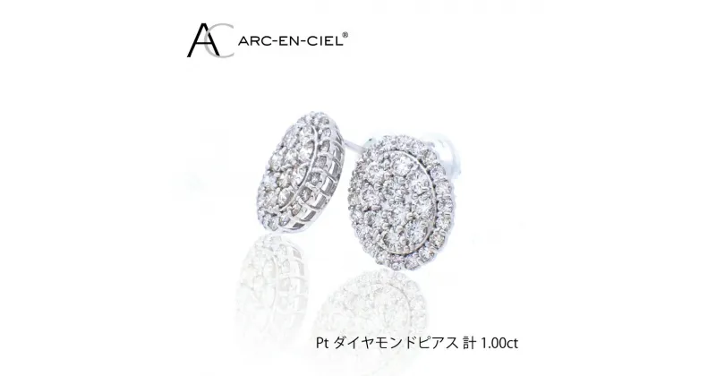 【ふるさと納税】【11/1～価格改定】ARC-EN-CIEL PTダイヤピアス（計 1.0ct）