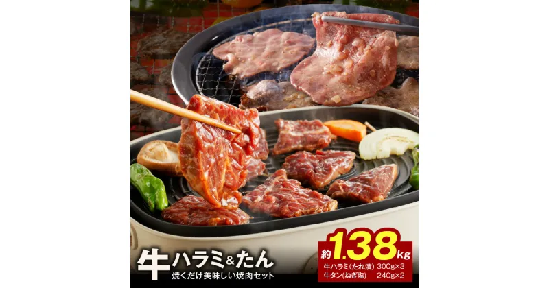 【ふるさと納税】大人気 ファミリー向け 焼肉セット 牛たん 牛ハラミ肉 総量1.38kg 大阪府 泉佐野市 送料無料 肉の泉佐野