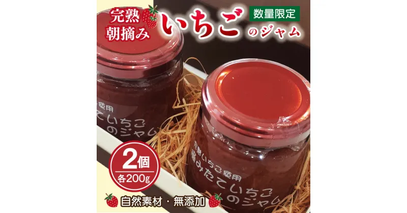 【ふるさと納税】期間限定 数量限定 いちごのジャム 200g × 2個 瓶 無添加 自然素材 完熟 朝摘みいちご 国産 苺 ジャム いちごジャム ストロベリージャム フルーツジャム 食品 食べ物 お取り寄せ 関西 大阪府 泉佐野市 辻農園 常温【先行予約】