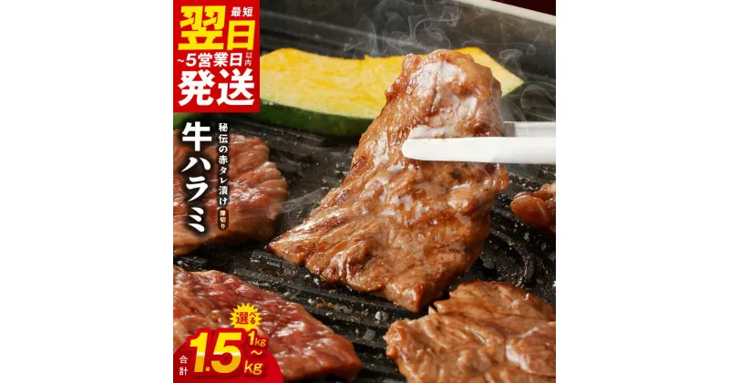 【ふるさと納税】最短翌日～5営業日以内発送 訳あり 牛肉 ハラミ 牛ハラミ 薄切り スライス 小分け 訳あり サイズ不揃い 秘伝の赤タレ漬け 味付け肉 焼くだけ 簡単 焼肉 肉 食品 冷凍 お取り寄せ 大阪 5日以内発送 大阪府 泉佐野市 送料無料 肉の泉佐野