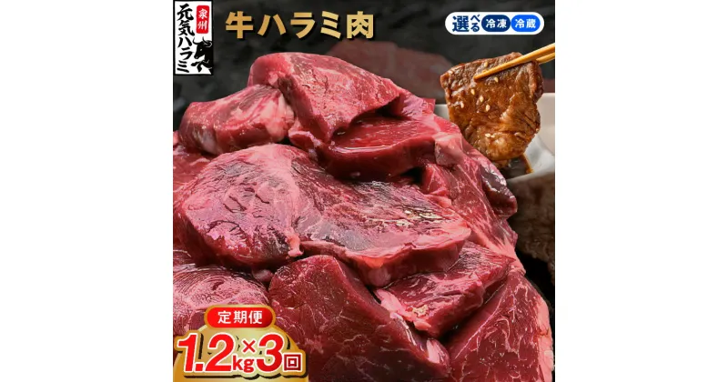 【ふるさと納税】＼定期便／ 牛肉 牛ハラミ タレ漬け 1.2kg 定期便 全3回 【毎月配送コース】大阪府 泉佐野市 送料無料 肉の泉佐野