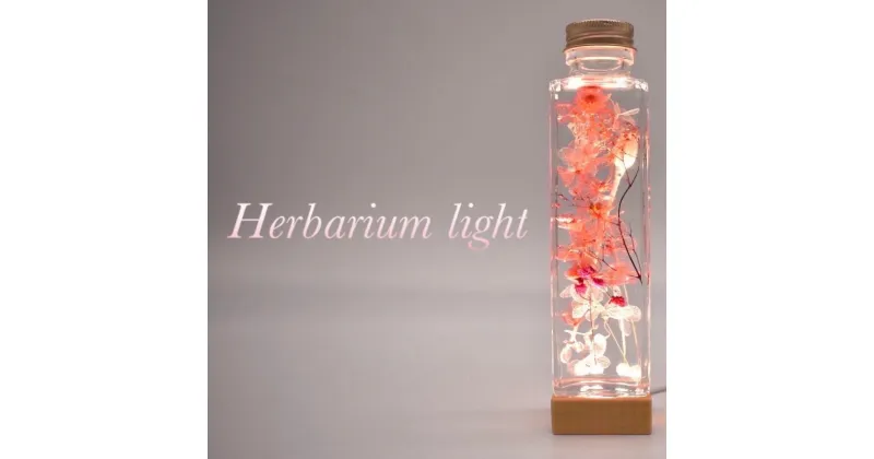 【ふるさと納税】Herbarium Light 照明 ライト 小物 アンティーク調