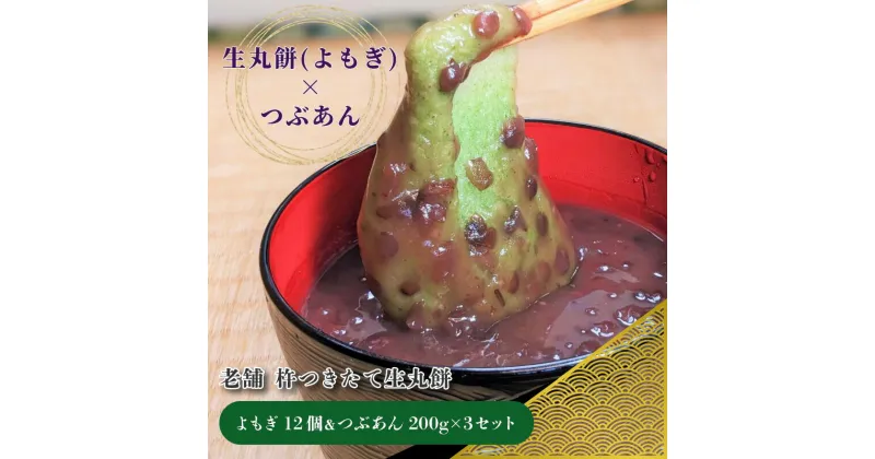 【ふるさと納税】杵つき 生丸餅 よもぎ 12個 ＆ つぶあん 200g×3 セット 老舗 和菓子屋さん 生餅 餅 国産よもぎ あんこ 昔ながら 手作り 甘さ控えめ そのまま食べても美味しい あんころ餅 おしるこ 食品 お取り寄せ スイーツ デザート 冷凍 関西 大阪府 泉佐野市 送料無料