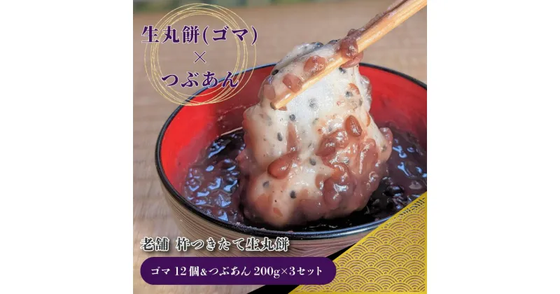 【ふるさと納税】杵つき 生丸餅 ゴマ 12個 ＆ つぶあん 200g×3 セット 老舗 和菓子屋さん 生餅 餅 国産黒ゴマ あんこ 昔ながら 手作り 甘さ控えめ そのまま食べても美味しい あんころ餅 おしるこ 食品 お取り寄せ スイーツ デザート 冷凍 関西 大阪府 泉佐野市 送料無料