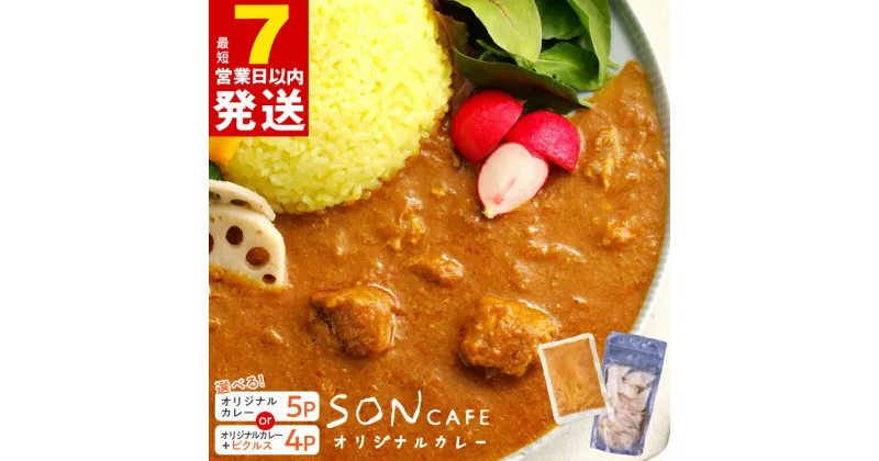 【ふるさと納税】＼最短7営業日以内発送／ 15種スパイスを使用した SONカフェ 特製カレー セット いずみピクルス NSW 選べる オリジナルカレー 玉ねぎのアチャール 泉州たまねぎのピクルス キャベツのピクルス カレー 冷凍 お取り寄せグルメ 大阪府 泉佐野市 送料無料