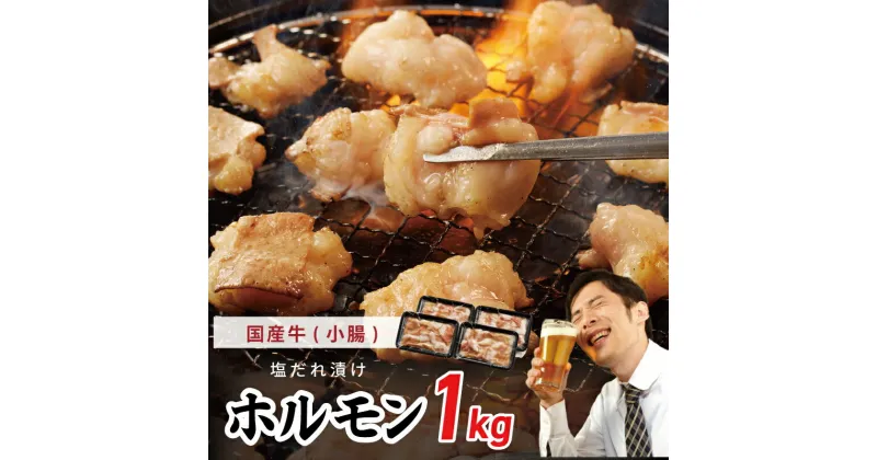 【ふるさと納税】国産 牛肉 ホルモン 1kg 塩だれ漬け 焼肉用 小分け 250g×4P 大阪府 泉佐野市 送料無料 肉の泉佐野