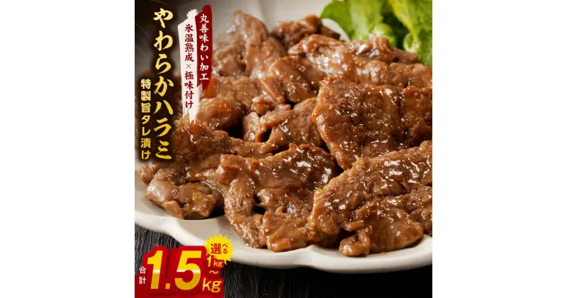 【ふるさと納税】訳あり やわらかハラミ 1kg / 1.5kg 特製旨タレ漬け 味付き 不揃い 牛肉 【氷温熟成×極味付け】 牛 ハラミ タレ漬け 焼肉 BBQ バーベキュー 定番 簡単 焼くだけ 旨味 氷温熟成牛 牛肉 熟成肉 小分け 肉の泉佐野 丸善