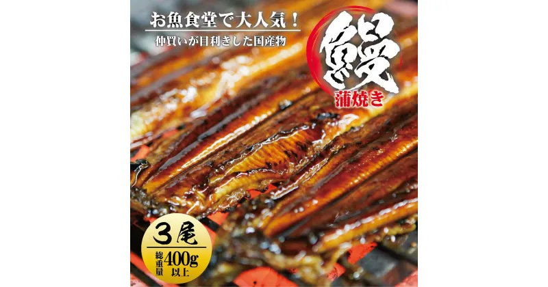 【ふるさと納税】国産 うなぎ 蒲焼き 3尾 総重量 400g 以上 厳選 職人 特製 タレ付き 真空パック じっくり焼き上げ 香ばしい フワフワ 魚介類 魚 うな重 うな丼 ひつまぶし 惣菜 おかず 冷凍 お取り寄せ お取り寄せグルメ 冷凍 大阪府 泉佐野市 送料無料