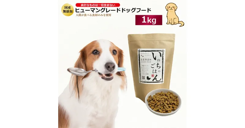 【ふるさと納税】国産無添加ドッグフード「いのちのごはん」1kg