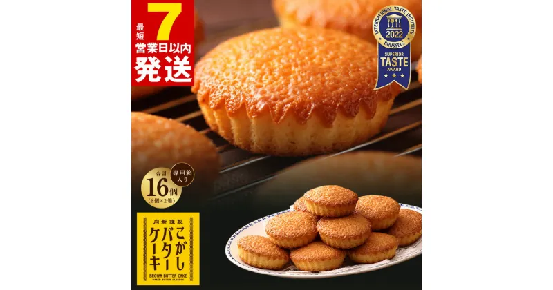 【ふるさと納税】＼最短7営業日以内発送／ こがしバターケーキ 8個×2箱【専用箱】 むか新