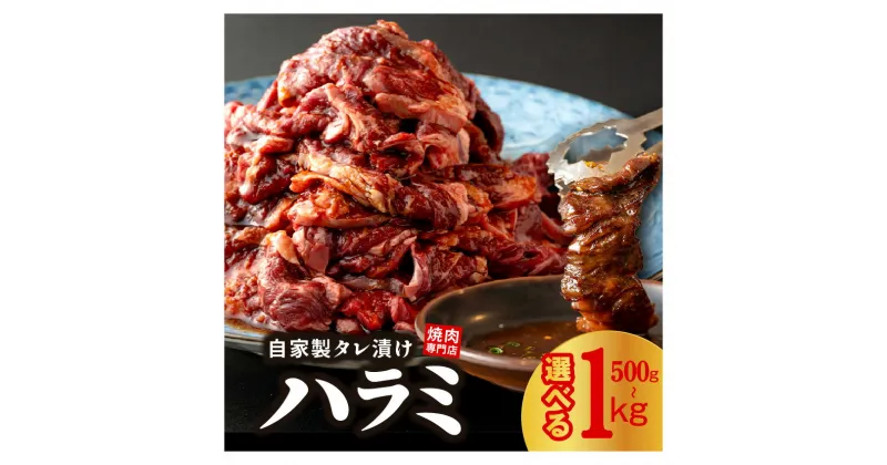 【ふるさと納税】焼き肉専門店 ハラミ サガリ 自家製 タレ漬け 500g 250g×2 / 1kg 250g×4 選べる 内容量 焼肉 BBQ 牛ハラミ 牛肉 お肉 肉 味付け肉 プロの味 簡単調理 真空パック 小分け セット 食品 冷凍 大阪府 泉佐野市 送料無料 肉の泉佐野