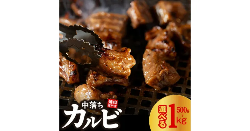 【ふるさと納税】＼内容量が選べる／ 焼き肉専門店 自家製タレ漬け 中落ちカルビ 500g (250g×2) / 1kg (250g×4) 小分け 食べ応え 甘辛 味付け肉 焼肉 BBQ 冷凍 真空パック 焼きそば カルビ丼 おかず 焼くだけ 簡単調理 牛肉 肉 お肉 大阪府 泉佐野市 送料無料 肉の泉佐野