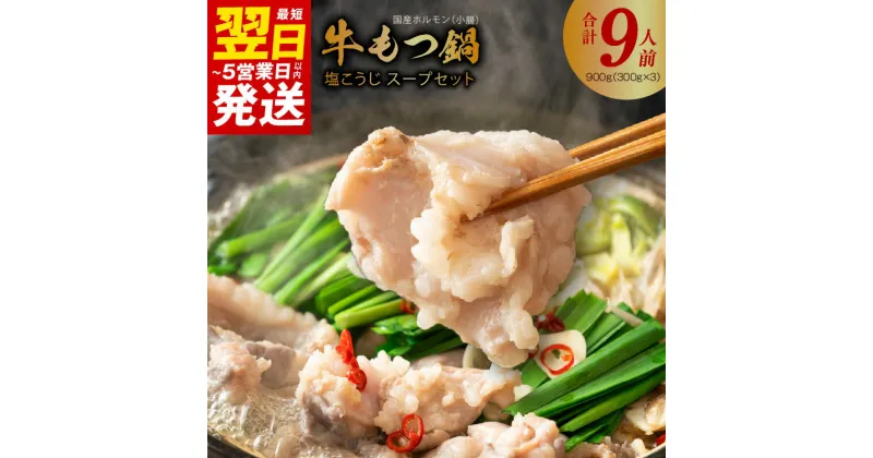 【ふるさと納税】＼最短翌日～5営業日以内発送／ 国産 牛肉 もつ鍋 900g（300g×3） 塩こうじ スープセット 大阪府 泉佐野市 送料無料 肉の泉佐野