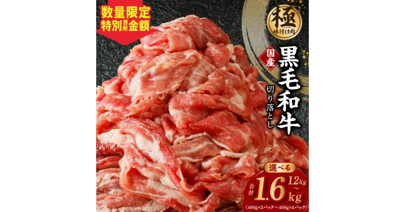 【ふるさと納税】【訳あり】【極味付け肉】国産 黒毛和牛 切り落とし 1.2kg / 1.6kg 小分け 各400g 部位不揃い 特別寄附金額 大阪府 泉佐野市 送料無料 肉の泉佐野 氷温熟成牛 牛肉 熟成肉 氷温熟成 作り方 ふるさと納税オリジナル 限定