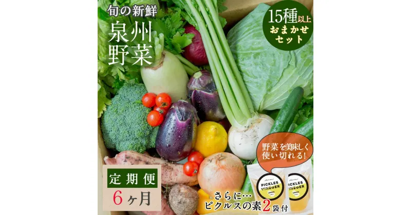 【ふるさと納税】旬の新鮮 野菜セット 15種以上 定期便 全6回 おまかせ ピクルスの素付き ファミリー向け 泉州野菜 旬の野菜 詰め合わせ おやつ おつまみ 毎月発送 お取り寄せ お取り寄せグルメ 大阪府 泉佐野市 送料無料 いずみピクルス NSW