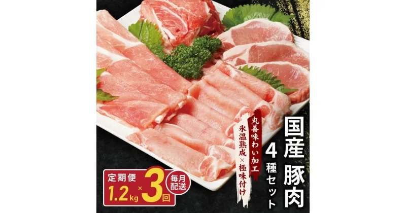 【ふるさと納税】国産 豚肉 4種セット 定期便 1.2kg×3回 小分け 【丸善味わい加工】 【氷温熟成×極味付け】 訳あり 氷温熟成豚 熟成肉 作り方 ふるさと納税オリジナル 限定【毎月配送コース】 大阪府 泉佐野市 送料無料 肉の泉佐野