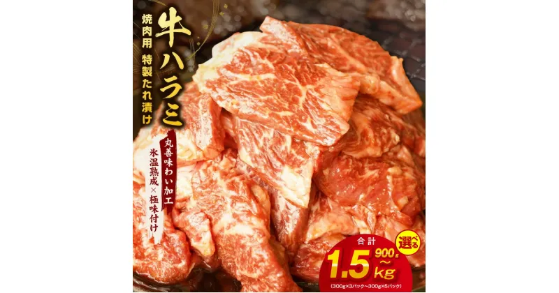 【ふるさと納税】【丸善特製ダレ】牛肉 ハラミ / 900g（300g×3） / 1.2kg（300g×4） / 1.5kg（300g×5） 【氷温熟成×極味付け】 氷温熟成牛 熟成肉 作り方 ふるさと納税オリジナル 限定 大阪府 泉佐野市 送料無料 肉の泉佐野