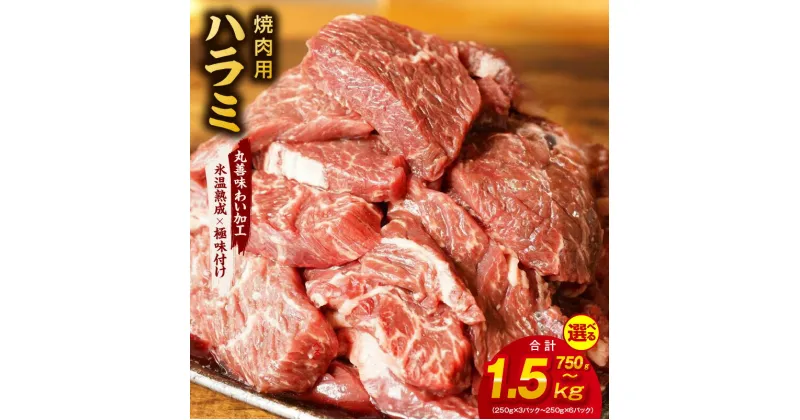 【ふるさと納税】牛肉 ハラミ 750g（250g×3） / 1kg（250g×4） / 1.5kg（250g×6） 【丸善味わい加工】 【氷温熟成×極味付け】 氷温熟成牛 牛肉 熟成肉 作り方 ふるさと納税オリジナル 限定 大阪府 泉佐野市 送料無料 肉の泉佐野