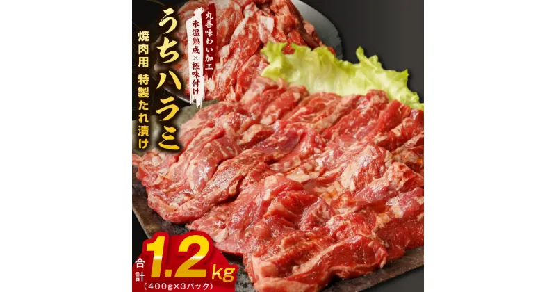 【ふるさと納税】【丸善特製ダレ】希少部位 牛肉 うちハラミ 1.2kg（400g×3）【氷温熟成×極味付け】 氷温熟成牛 牛肉 熟成肉 作り方 ふるさと納税オリジナル 限定 大阪府 泉佐野市 送料無料 肉の泉佐野