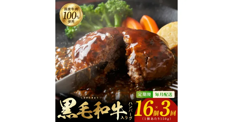 【ふるさと納税】黒毛和牛入り 国産牛肉100％ ハンバーグ 定期便 16個×全3回 150gサイズ【毎月配送コース】 極味 肉屋 こだわり オリジナル 自家製 小分け 便利 大阪府 泉佐野市 送料無料 肉の泉佐野