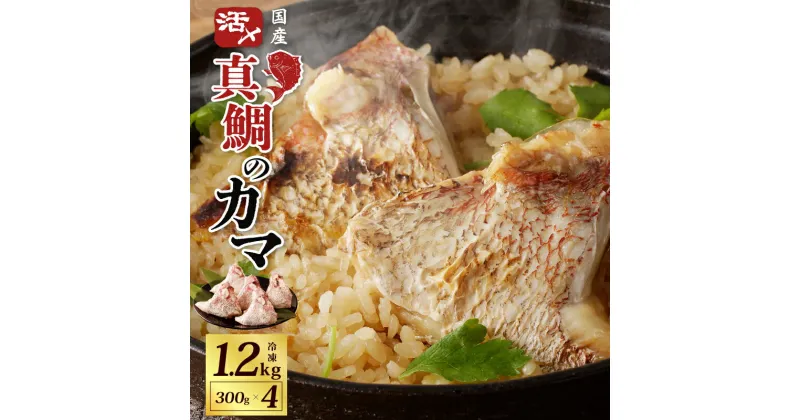 【ふるさと納税】【特別寄附金額】国産 活〆養殖 真鯛のカマ 合計1.2kg（300g×4パック） 冷凍 真空パック 塩焼き 煮付け 酒蒸し 鯛めし 食品 魚 お取り寄せ お取り寄せグルメ 大阪府 泉佐野市 送料無料