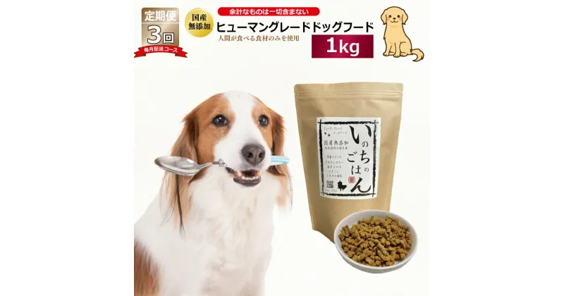 【ふるさと納税】【定期便】国産 無添加 ドッグフード「いのちのごはん」1kg×全3回【毎月配送コース】