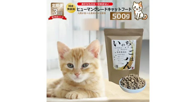 【ふるさと納税】【定期便】国産 無添加 キャットフード「いのちのごはん」500g×全3回【毎月配送コース】