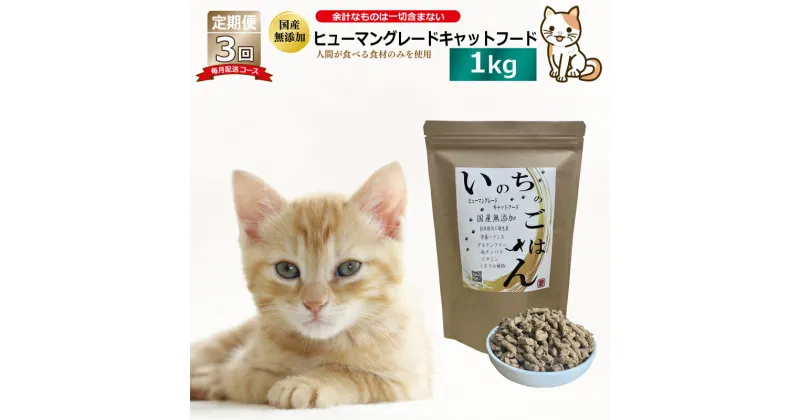 【ふるさと納税】【定期便】国産 無添加 キャットフード「いのちのごはん」1kg×全3回【毎月配送コース】