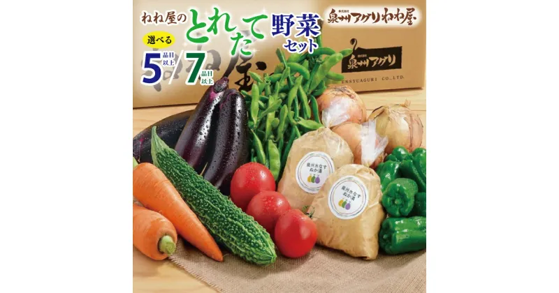 【ふるさと納税】ねね屋のとれたて野菜セット 詰め合わせ 選べる 5品目以上 / 7品目以上 泉佐野産 採れたて 新鮮 旬 泉州野菜 野菜 セット おまかせ 加工品 食品 食べ物 クール便 冷蔵 国産 お取り寄せ 大阪府 泉佐野市 送料無料