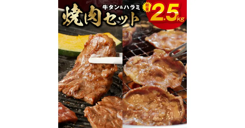 【ふるさと納税】牛タン＆牛ハラミ 総量 2.5kg 焼肉セット【成型牛たん ハラミ 牛肉 焼肉用 薄切り 訳あり サイズ不揃い】 大阪府 泉佐野市 送料無料 肉の泉佐野