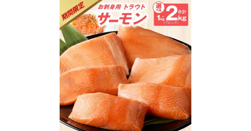 【ふるさと納税】【期間限定】 お刺身用 サーモン 1kg / 2kg ブロック 小分け 約250g × 4P / 8P ポーション 柵 訳あり サイズ不揃い