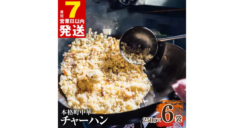 【ふるさと納税】＼最短7営業日以内発送／ 極旨 チャーハン 250g × 6袋 本格 町中華 冷凍炒飯 小分け 簡単調理 6人前 中華 冷凍チャーハン 冷凍 パラパラ 弁当 夕食 夜食 レンジ レンチン 中華料理 食品 お取り寄せ お取り寄せグルメ 大阪府 泉佐野市 送料無料