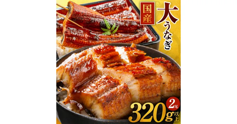 【ふるさと納税】先行予約 国産うなぎ 2尾 320g 以上 1尾160g以上 大サイズ 国産 泉佐野産 養殖 うなぎ 蒲焼 ふっくら 柔らかい うな丼 うな重 ひつまぶし 大黒水産 えびす鰻 unagi 大阪府 泉佐野市 惣菜 食品 冷凍 お取り寄せ お取り寄せグルメ 送料無料