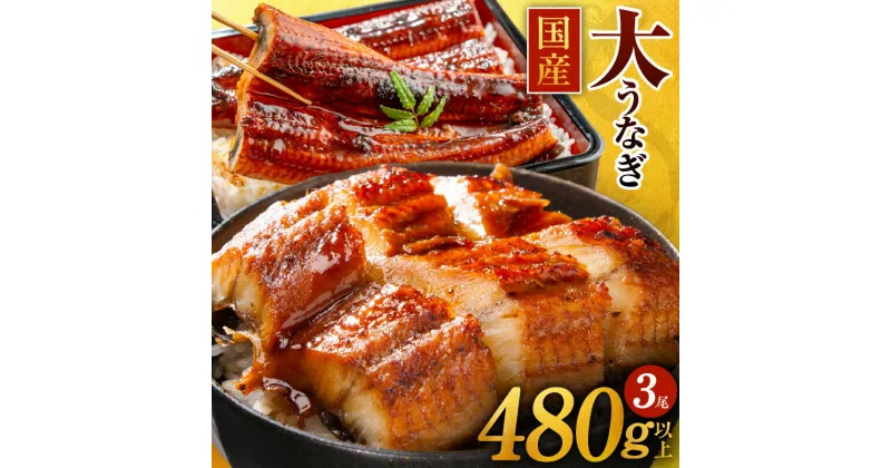 【ふるさと納税】先行予約 国産うなぎ 3尾 480g 以上 1尾160g以上 大サイズ 国産 泉佐野産 養殖 うなぎ 蒲焼 ふっくら 柔らかい うな丼 うな重 ひつまぶし 大黒水産 えびす鰻 unagi 大阪府 泉佐野市 惣菜 食品 冷凍 お取り寄せ お取り寄せグルメ 送料無料