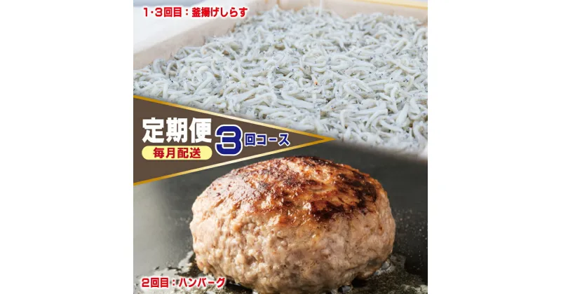 【ふるさと納税】店主セレクト 食べ比べ 定期便 全3回 ハンバーグ / しらす 毎月配送 ビーフハンバーグ 無添加 釜揚げシラス 家庭用 大阪府 泉佐野市 冷凍 お取り寄せ お取り寄せグルメ 送料無料 肉の泉佐野