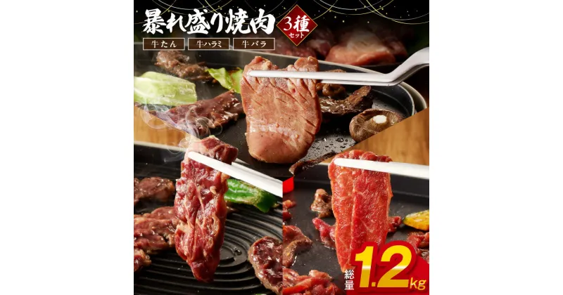 【ふるさと納税】訳あり 暴れ盛り 焼肉 3種 食べ比べ セット 総量 1.2kg 各 400g 牛タン / 牛ハラミ / バラ タン 塩タン ハラミ バラ肉 タレ漬け サイズ不揃い 牛肉 肉 お肉 焼き肉 BBQ 大阪府 泉佐野市 冷凍 送料無料 肉の泉佐野