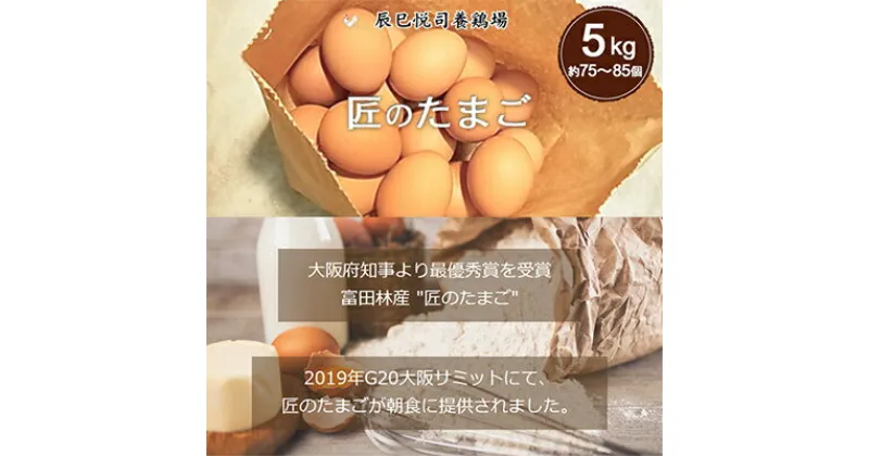 【ふるさと納税】【5kg】匠のたまご(約75～85個)辰巳悦司養鶏場　G20大阪サミット朝食に使用された卵【1292610】