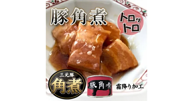 【ふるさと納税】豚角煮缶詰　5缶【1154261】