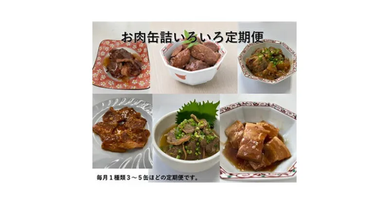 【ふるさと納税】【発送月固定定期便】お肉のいろいろ缶詰定期便全12回【4000929】